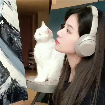 走进炮火中